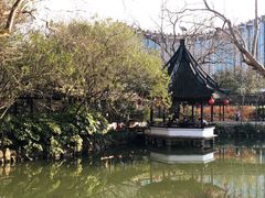 -上海醉白池公园