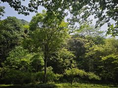 -黄公望隐居地