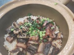 金牌黄鳝饭-红星光发煲仔饭(文海店)