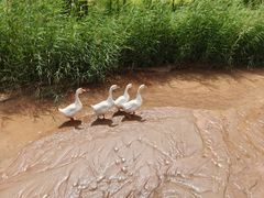-波浪谷