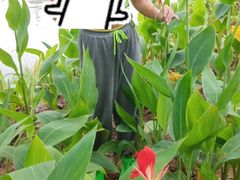 -三水森林公园