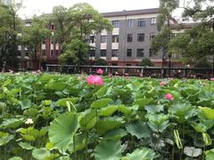 -四川大学(望江校区)