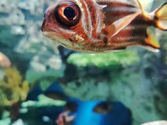 -福州罗源湾海洋世界旅游区