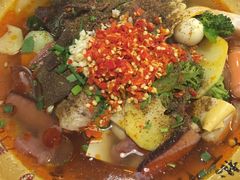 -芙蓉树下冒菜·麻辣烫(农院店)