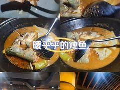 -肥鱼屯活鱼锅(惠工街店)