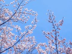 -西北湖绿化广场
