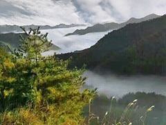 -秦岭风景区
