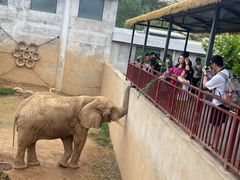 -西霞口神雕山野生动物世界