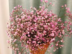 -五台山南京工业大学游泳馆(江浦馆)