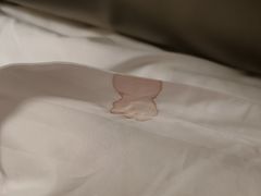 -成都世纪城假日酒店-西楼