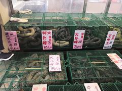 水产区-荔城生鲜盛宴(番禺旗舰店)