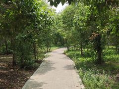 -花园口旅游区