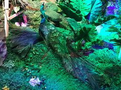 -绿色星球动物主题公园
