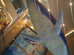 -乐从天佑城海洋馆