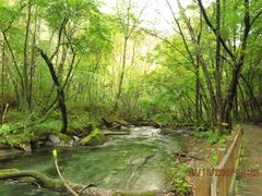 -叠溪松坪沟景区