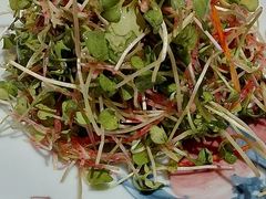 -清雅臻品·竹林院落·新派青岛菜(崂山店)
