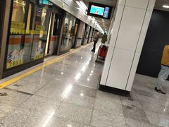 -杨高南路(地铁站)