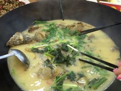 -岩泊渡桂鱼楼活鱼馆