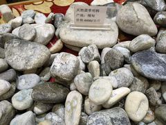 -打洛口岸