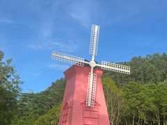 -顺峰山公园