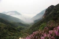 -灵山