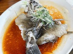 笋壳-大门水乡·顺德菜