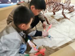 -秦皇星际小蚂蚁乐园