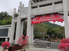 -梧桐山风景名胜区