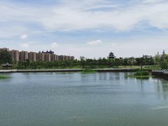 -八大山人梅湖景区