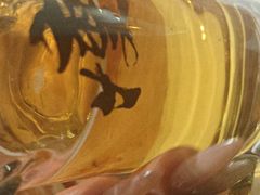 -你又瘦了小酒馆(奥体店)