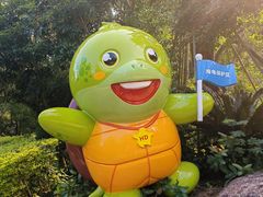 -广东惠东海龟国家级自然保护区