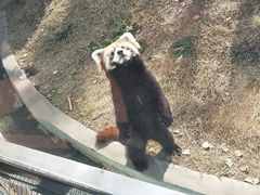 -无锡动物园·太湖欢乐园