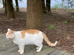 -上海海湾国家森林公园