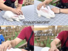 -SHRIMP CLUB万东餐饮钓虾·清吧