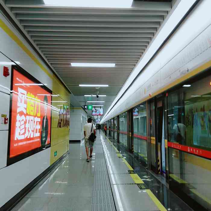 九龙湖南(地铁站)-"九龙湖地铁站从夜上海过来直达,就是有点迷.