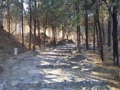 -阳台山自然风景区