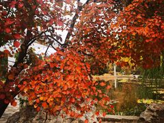 -国家植物园南园