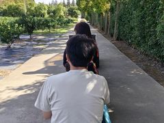 -前小桔亲子创意农场·草莓采摘·露营烧烤