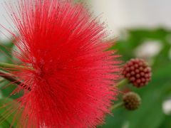 -北京植物园-展览温室