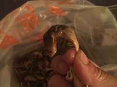 -蒋国权蟛蜞螯权鸭馆(天鹤店)