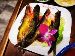 -红鼎坊·老成都火锅(新南门店)