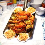 松哥第一铲回归啦😋小澳龙自由太爽了🦞