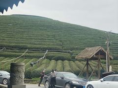 -听风阁农家私房菜茶楼(龙坞店)