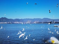 -海埂大坝