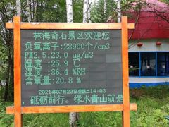 -汤旺河林海奇石景区