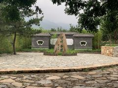 -阳台山自然风景区