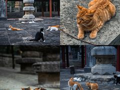 -四门塔风景区