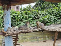 -泉州海丝野生动物世界