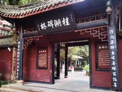 -桂湖森林公园