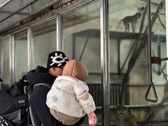 -哈尔滨北方森林动物园